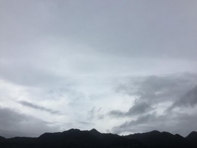 IMG_0800.jpg